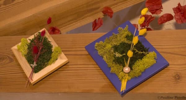 Petits tableaux végétaux – Image 3