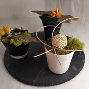 Sur une ardoise ronde, 3 pots noirs ou blancs sont disposés. Dedans des mini jardin avec le vert du lilcken, le jeune et le orange de jolies plantes, et des écorces les mette en valeur.