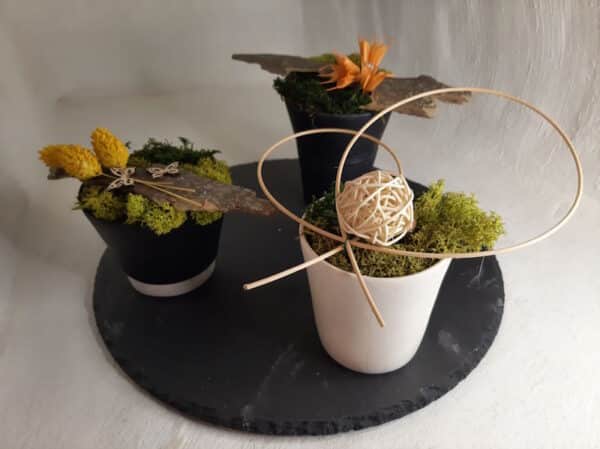 Sur une ardoise ronde, 3 pots noirs ou blancs sont disposés. Dedans des mini jardin avec le vert du lilcken, le jeune et le orange de jolies plantes, et des écorces les mette en valeur.