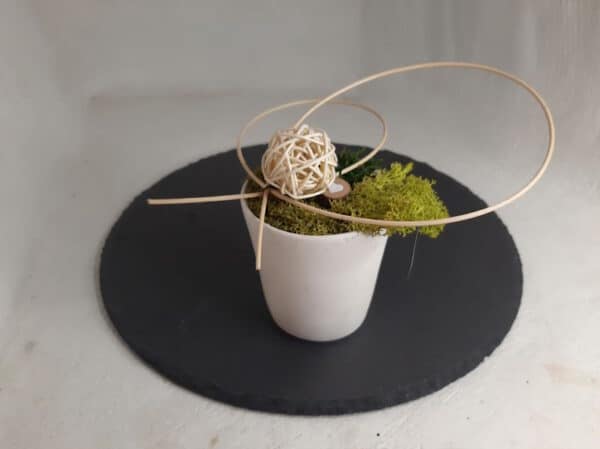 Petit Pot Ciré avec Mini Jardin en Végétaux Stabilisés – Image 2