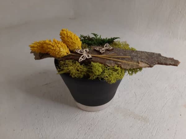 Petit Pot Ciré avec Mini Jardin en Végétaux Stabilisés – Image 3