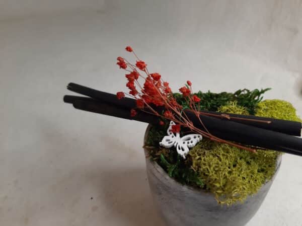 Petit Pot Ciré avec Mini Jardin en Végétaux Stabilisés – Image 4