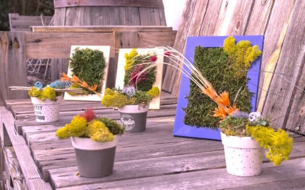 Sur un banc fait en palette, 3 pots et 3 tableaux faits de végétaux stabilisés sont disposés.