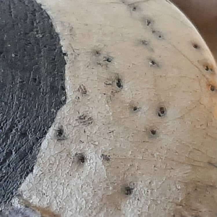 Collection raku jaune – Image 6